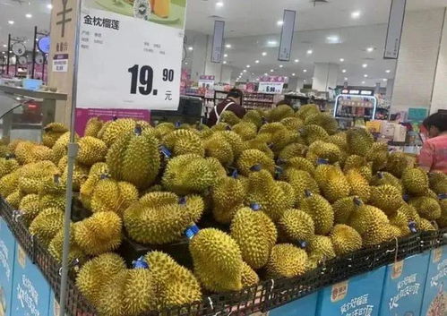 榴蓮價(jià)格腰斬，這趟“水果專(zhuān)列”立功了！