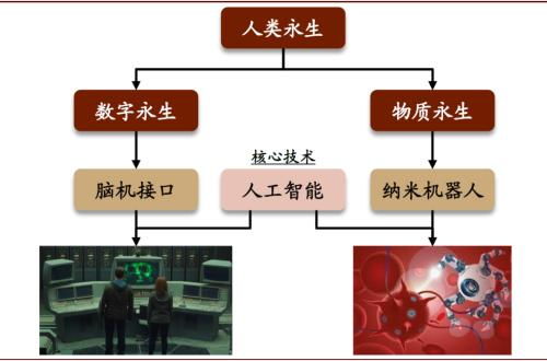 量子計算 未來30年的顛覆性力量，中金公司如何解讀？
